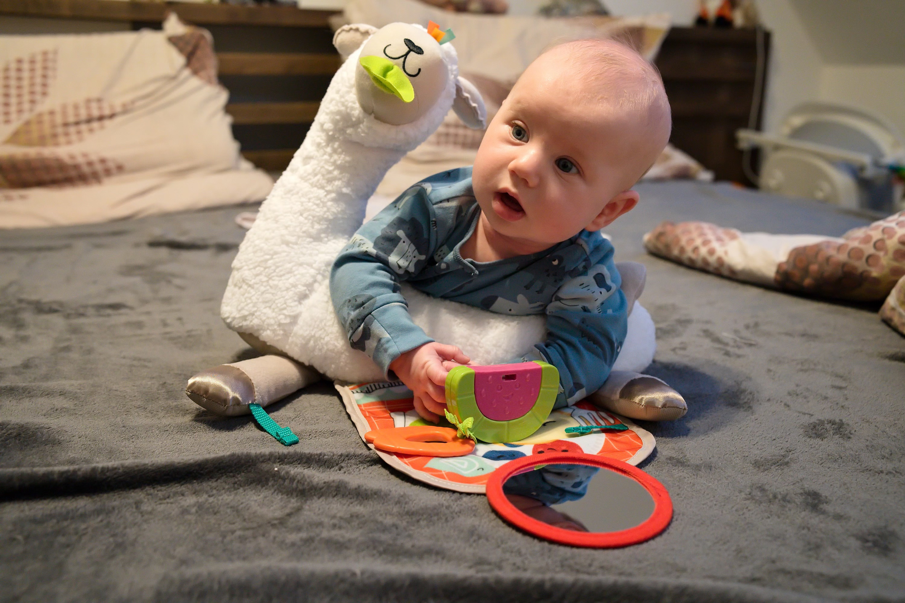 2026-02-26 Trimesicni lama